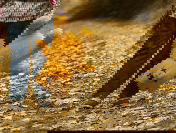 Situatie Jeugdbescherming Noord wordt alleen maar erger, volgens oud-medewerkers