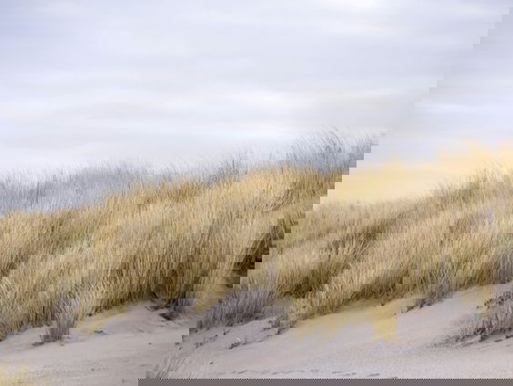 Lekkere Track: Drunense duinen