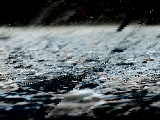 Lekkere Track: Bezinning met Bach