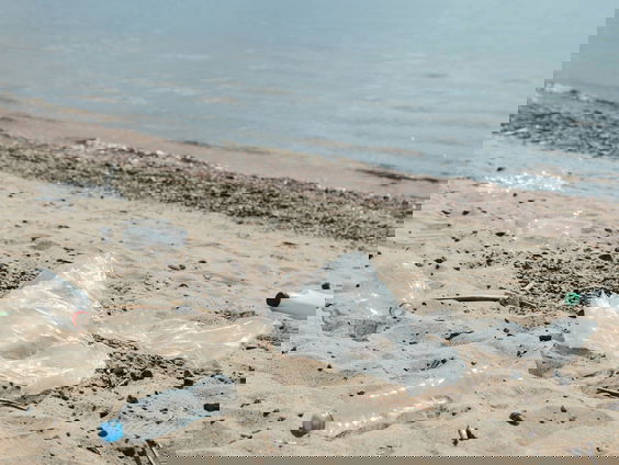 Lekkere Track: Jut mee!