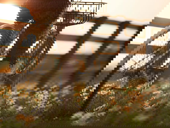 Deze studenten gaan 2.000 kilometer fietsen voor onderzoek naar hart- en vaatziekten