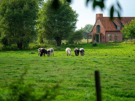De uitdagingen van biologisch boeren in Nederland