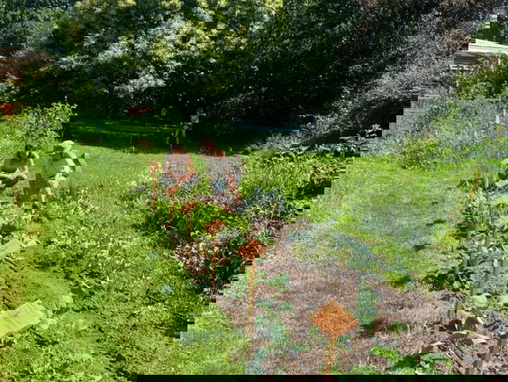 Op zoek naar verdwenen oude groenterassen