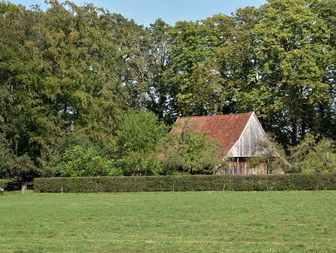 Friese taal wordt beter doorgegeven dan Nedersaksisch