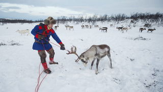 De Finse onderdrukking van de Sami