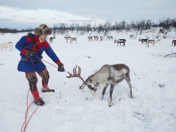 De Finse onderdrukking van de Sami