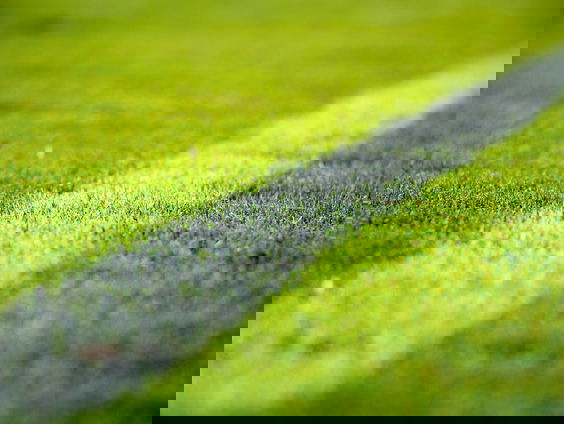 Noodlijdende Vitesse wordt overspoeld door steun