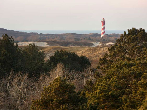 Wakker in de Zeeuwse duinen