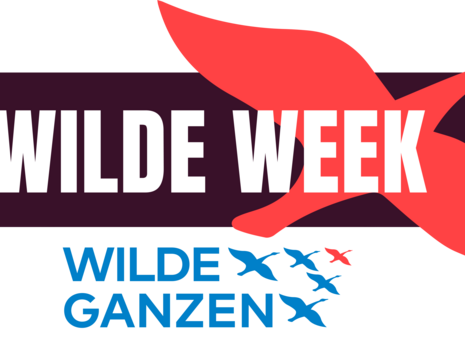 In de Wilde Week verdubbelt Wilde Ganzen iedere donatie