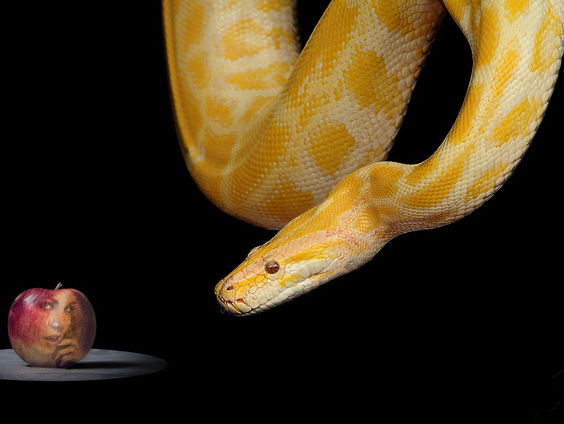 Kettingreactie 4 juli 2025