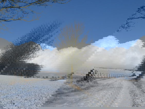 Nostalgie naar koude winters met sneeuw en ijs