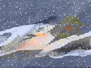 Lekkere Track: Walking in the Air