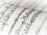 De strijd om een kinderliedje: wie schreef 'olifantje in het bos'?