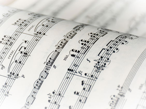 De strijd om een kinderliedje: wie schreef 'olifantje in het bos'?