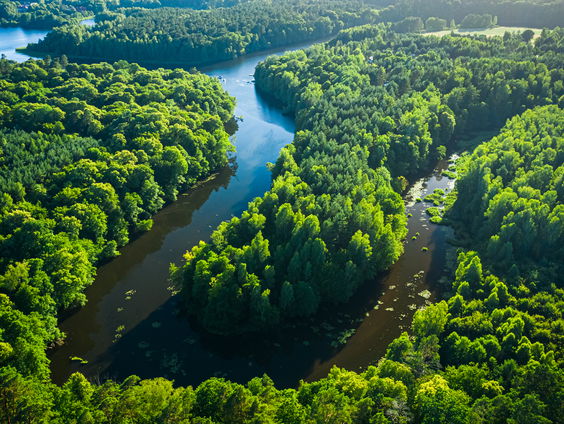 Waarom natuur menselijke rechten krijgt