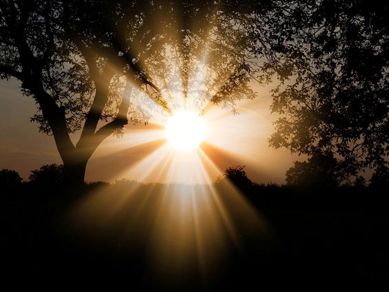 Kettingreactie 16 juni 2025