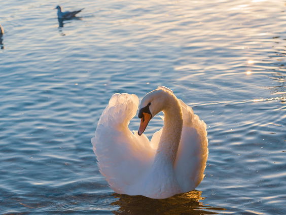 Kettingreactie 25 juni 2025