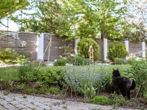 Yardlegend maakt vrijwillig tuinen weer netjes