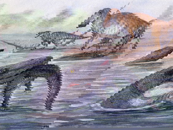 Nieuw onderzoek: mosasaurus leefde ook in zoet water