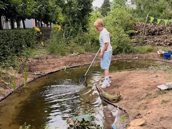Tiny poel voor de pad op een schoolplein