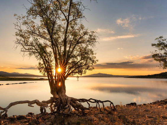 Kettingreactie 2 juli 2025