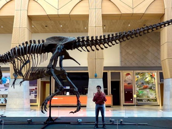 Wetenschappers maken zich zorgen om dure T-rex