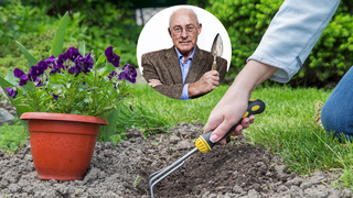 Maak je tuin voorjaarsklaar: de gouden tips van expert Romke van de Kaa