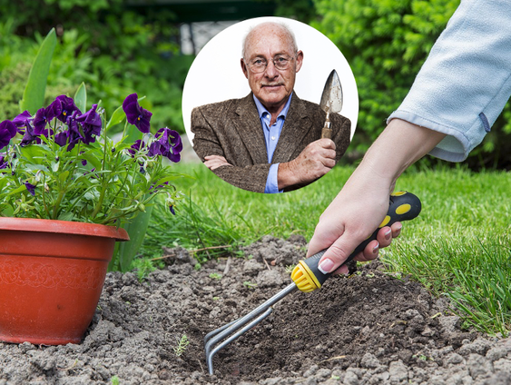 Maak je tuin voorjaarsklaar: de gouden tips van expert Romke van de Kaa
