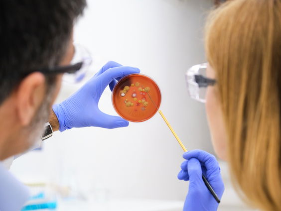 30 jaar onderzoek naar schimmels toont steeds minder effectieve werking van medicijnen aan