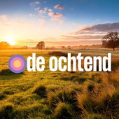 De Ochtend