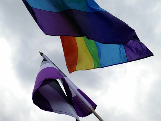 Aseksualiteit: wat gaat er mis in de zorg?