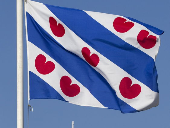 Dyami Millarson is redder van kleine, Friese talen