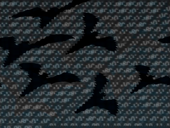 Gaat AI helpen om de natuur beter te beschermen?