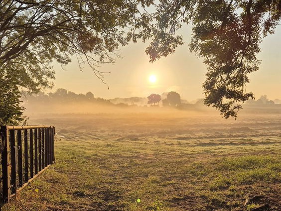 Veraarden: Het lichaam omzetten in vruchtbare grond als alternatief voor begrafenis of crematie