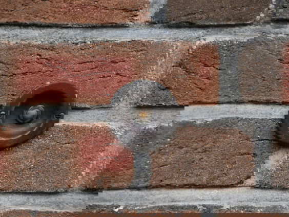 Misstanden bij deur-aan-deurverkoop door Delta Fiber