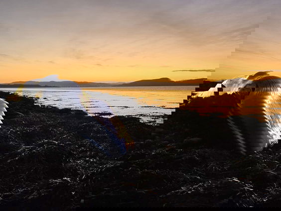 Gestrande walvissen aan Schotse kust worden grondig onderzocht