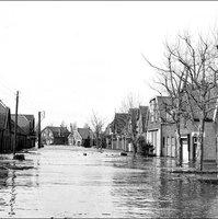 Onvergetelijk: de watersnoodramp van 1953