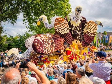 Corso Sint Jansklooster profiteert van uitstekende dahlia-oogst