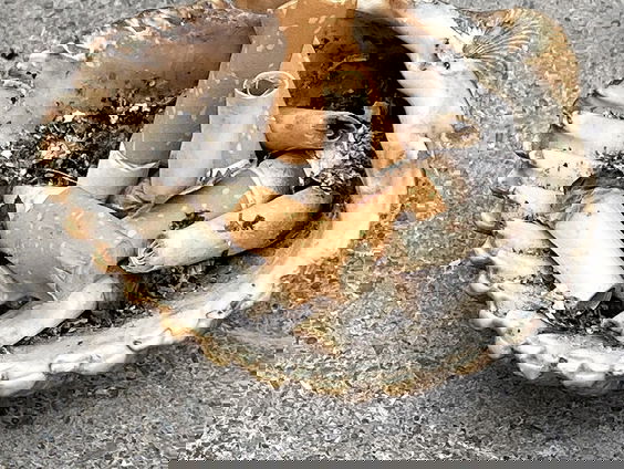 De audiotour: Yvette van der Zande over Niets is ooit altijd