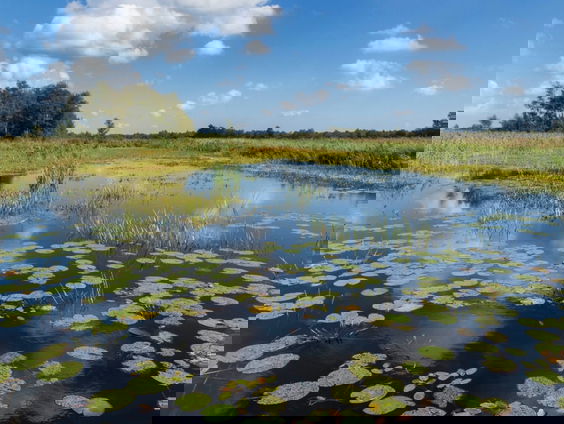 Weerribben-Wieden is post-apocalyptisch | Frisse blik #1