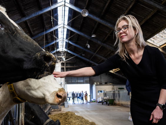 Gaat Nederland van het 'stikstofslot' met nieuwe aanpak van kabinet?