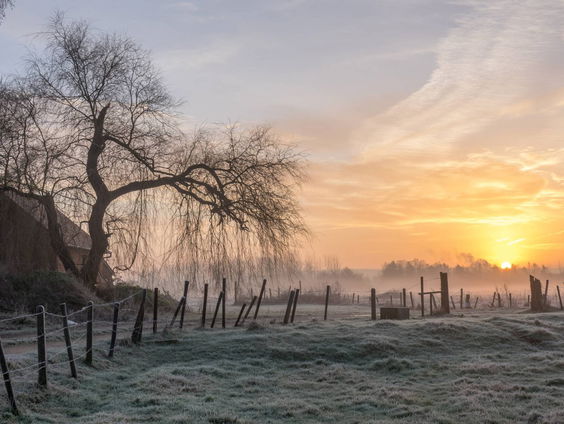Waarom zie je bij zonsopgang al die mooie kleuren?