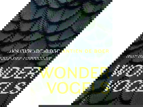 Gebruiken vogels een vorm van communicatie die we nog niet kennen?