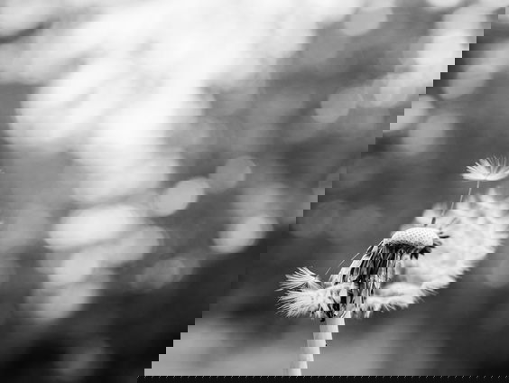 'Mijn vader kon opeens weer zingen'