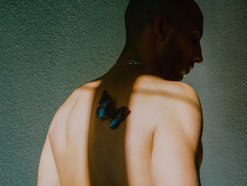 De enige persoon die Wilde Paarden van Willem NIET mooi vindt gevonden?