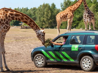 Medewerker van de Dag: Andre de vrolijke dierenverzorger