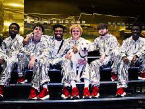 Luisteraar Cock over zijn favoriete plaat van 2019: 'Brockhampton is supervet'