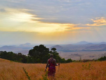Justdiggit: "Met één schep verander je de wereld"