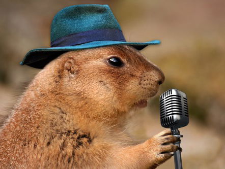 Mark start per ongeluk instrumentale jingle in en is gedwongen mee te zingen