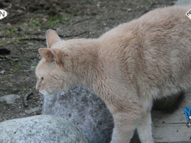 Droevig nieuws: De burgemeester van van het dorp Talkeetna is overleden